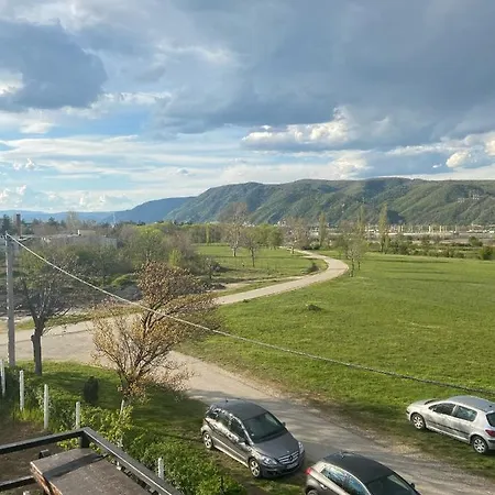 Pejovic Apartment *